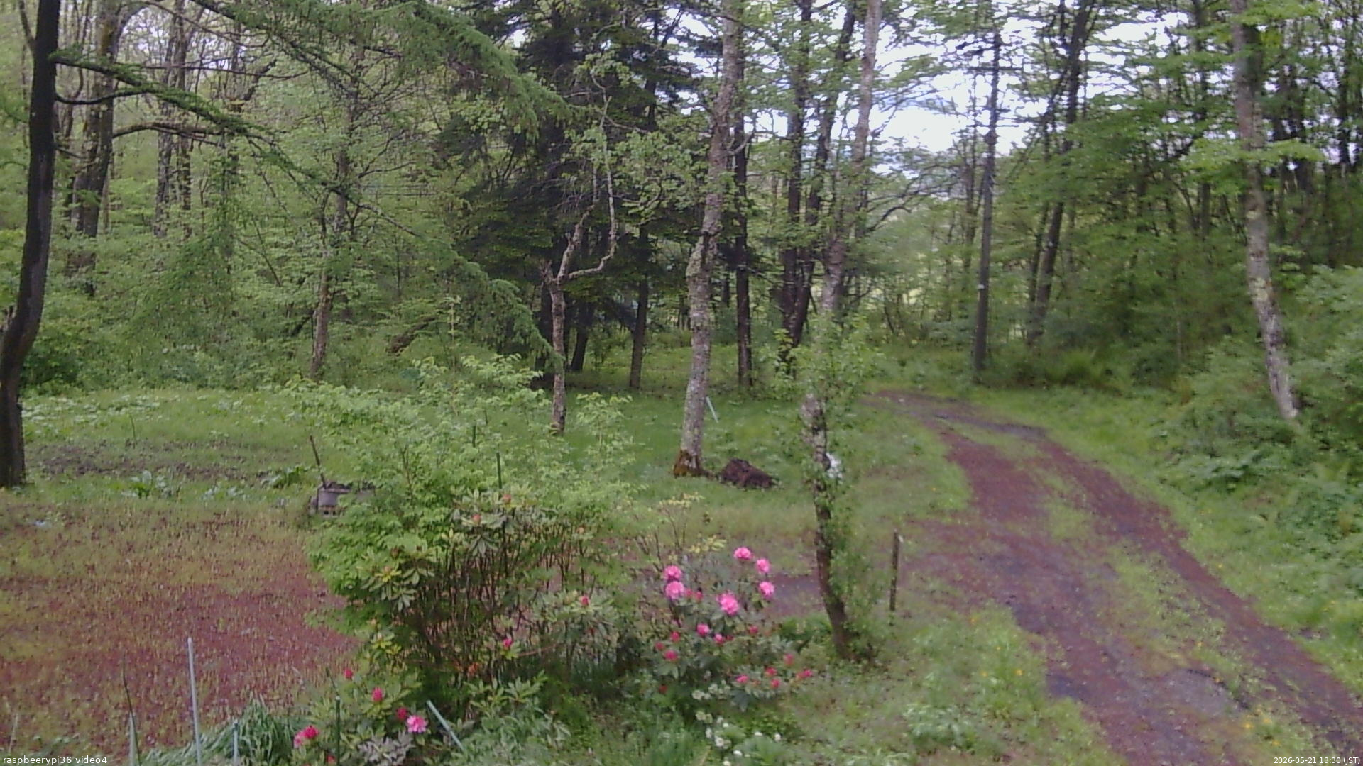 長野県菅平高原 ゆたか山荘 坂上 2026/05/21 13:30