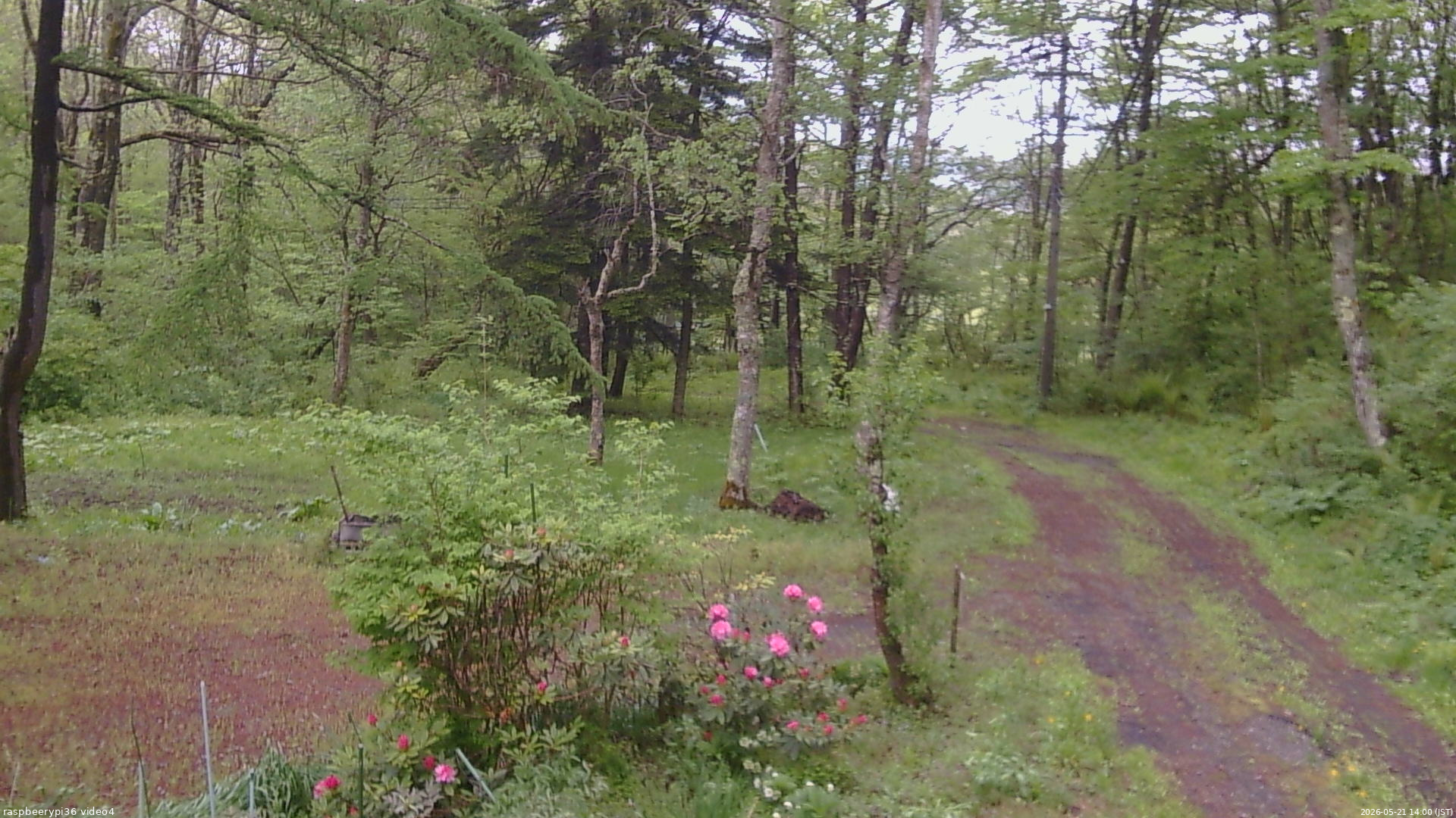 長野県菅平高原 ゆたか山荘 坂上 2026/05/21 14:00