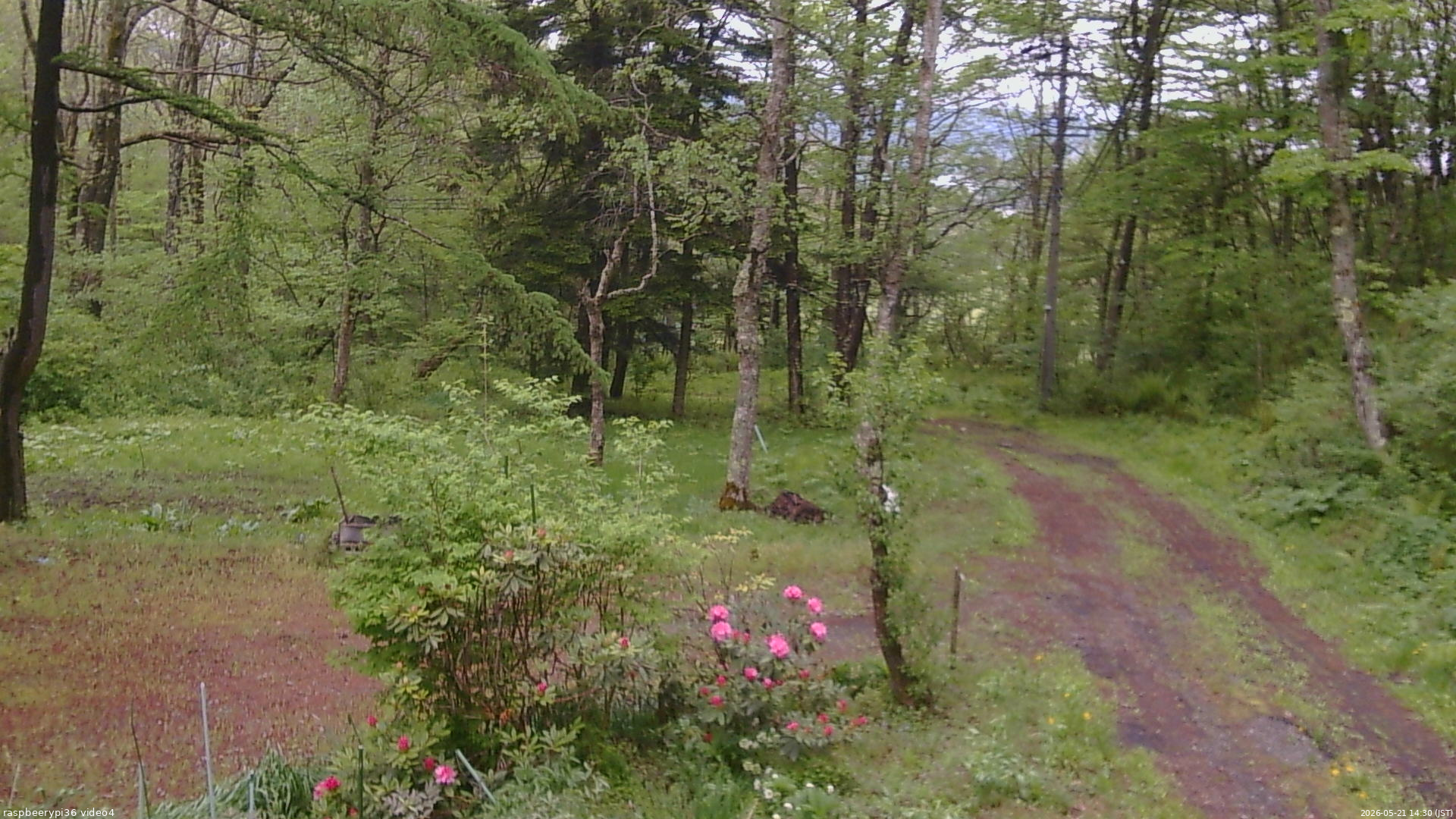 長野県菅平高原 ゆたか山荘 坂上 2026/05/21 14:30