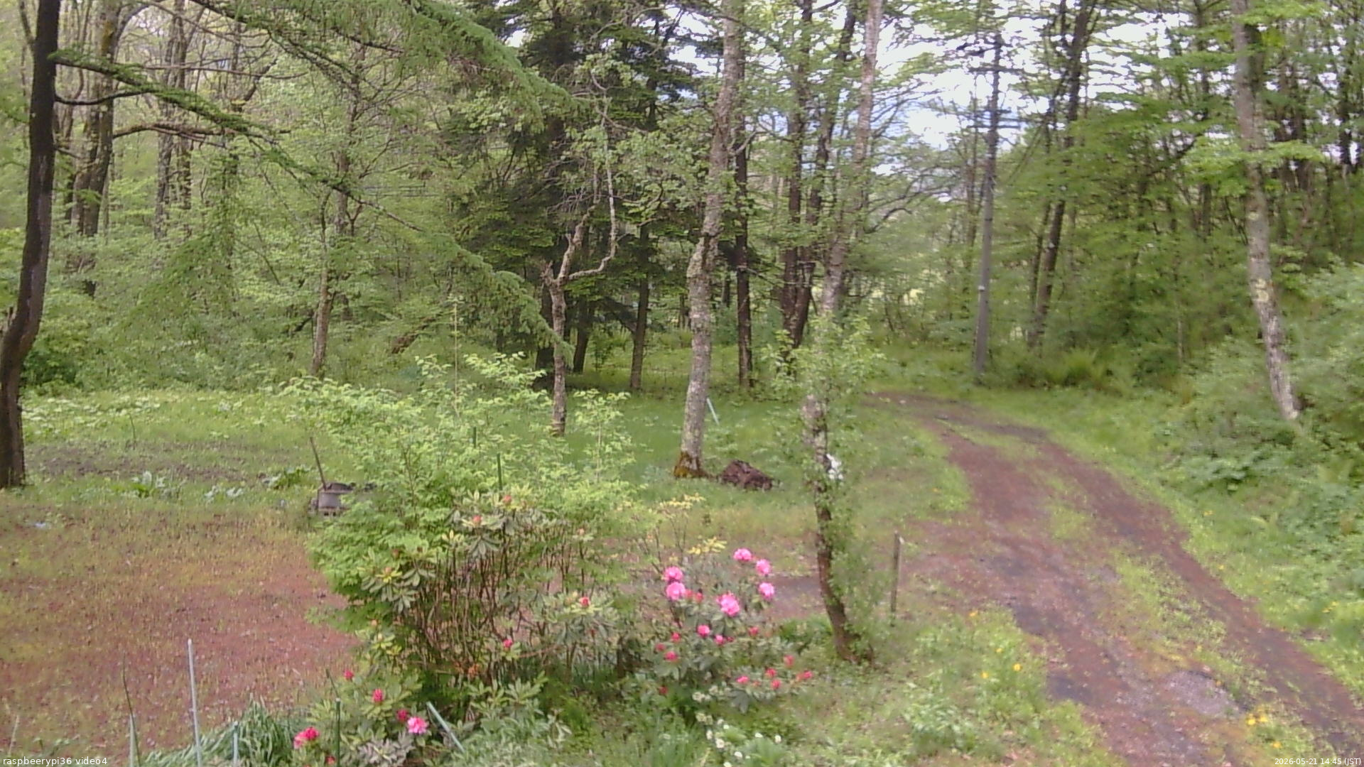 長野県菅平高原 ゆたか山荘 坂上 2026/05/21 14:45