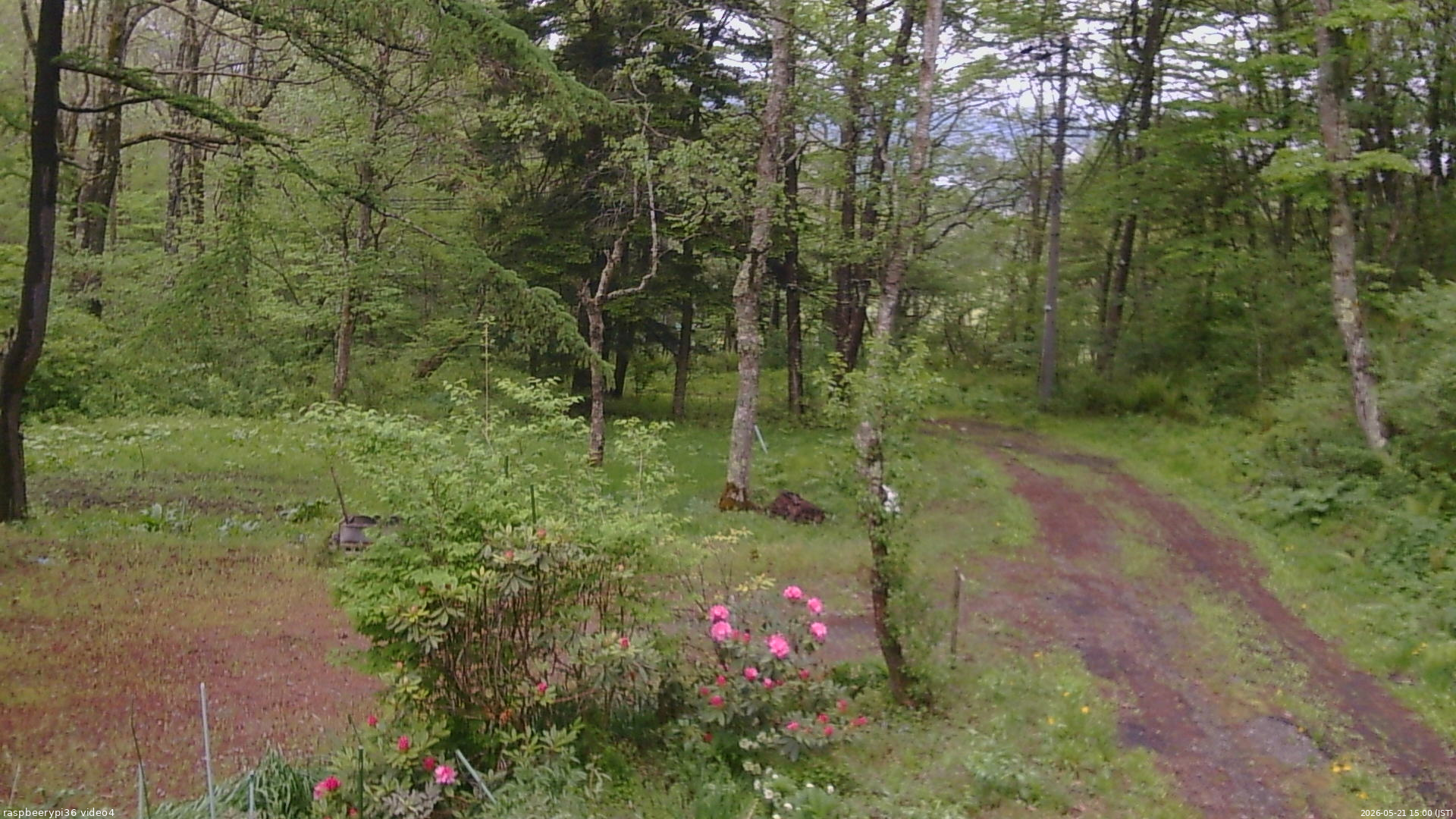 長野県菅平高原 ゆたか山荘 坂上 2026/05/21 15:00