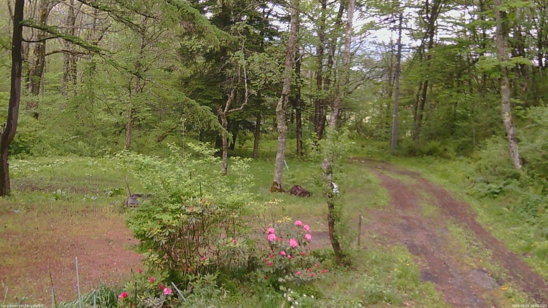 長野県菅平高原 ゆたか山荘 坂上 2026/05/21 16:00