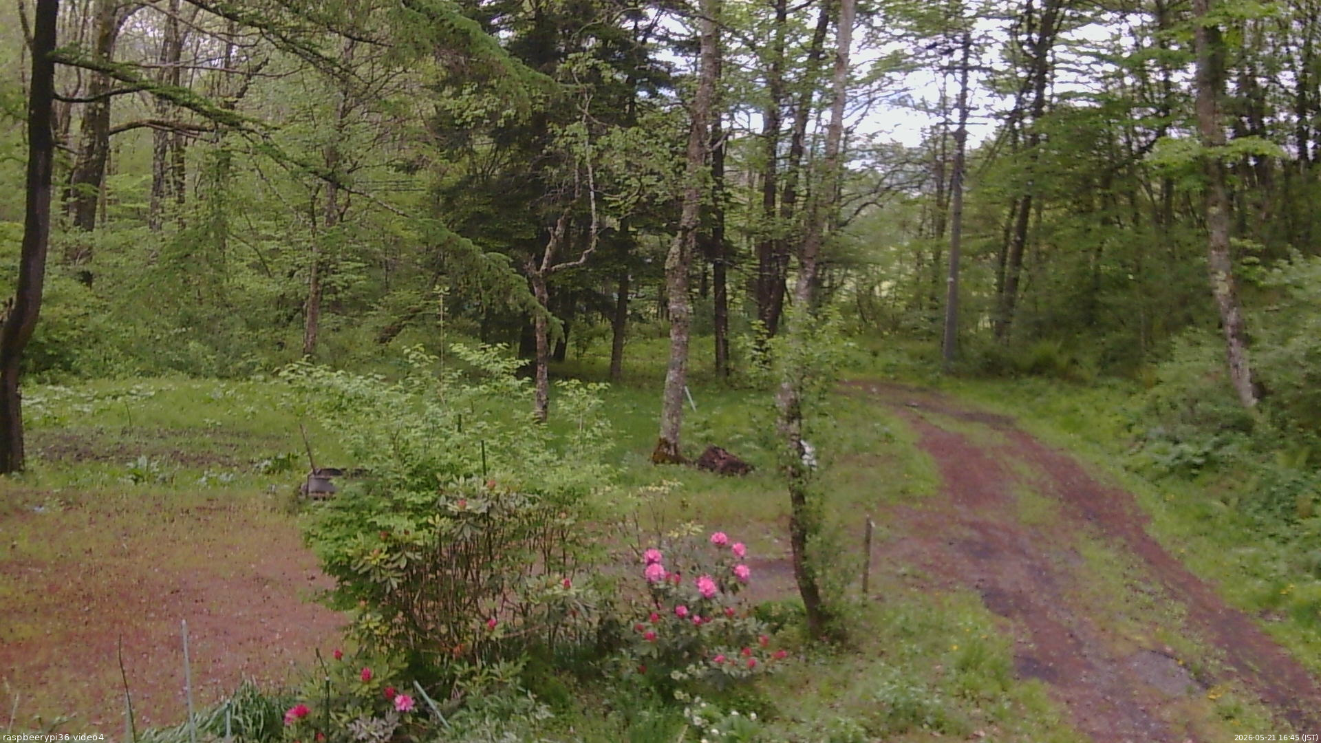 長野県菅平高原 ゆたか山荘 坂上 2026/05/21 16:45