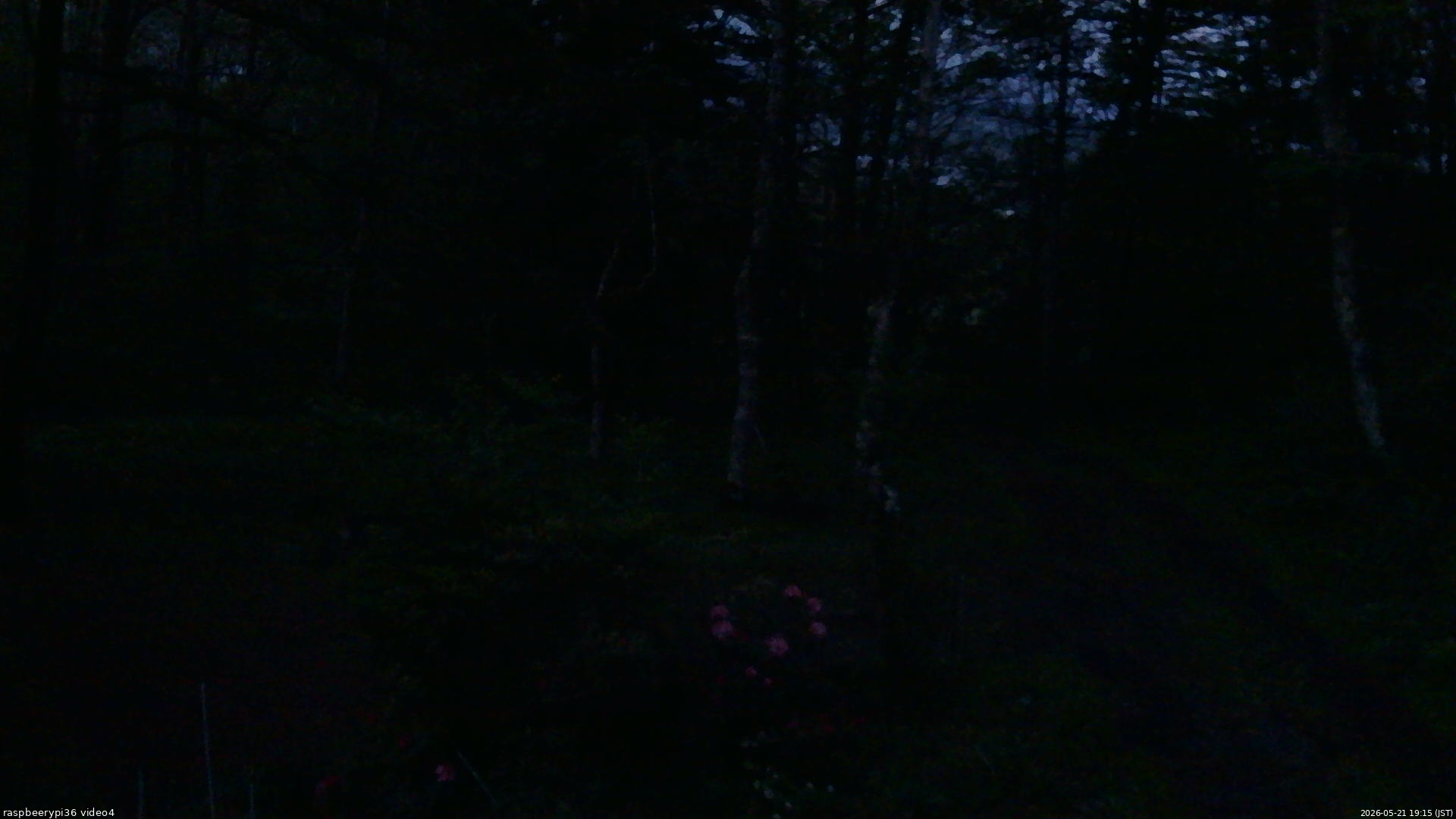 長野県菅平高原 ゆたか山荘 坂上 2026/05/21 19:15