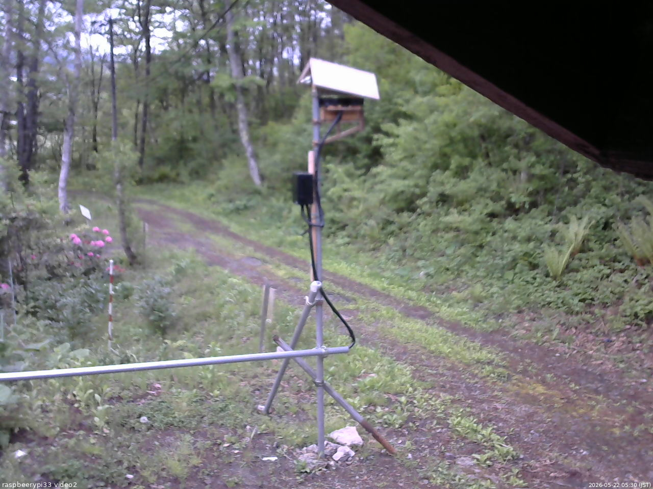 長野県菅平高原 ゆたか山荘 南側 2026/05/22 05:30