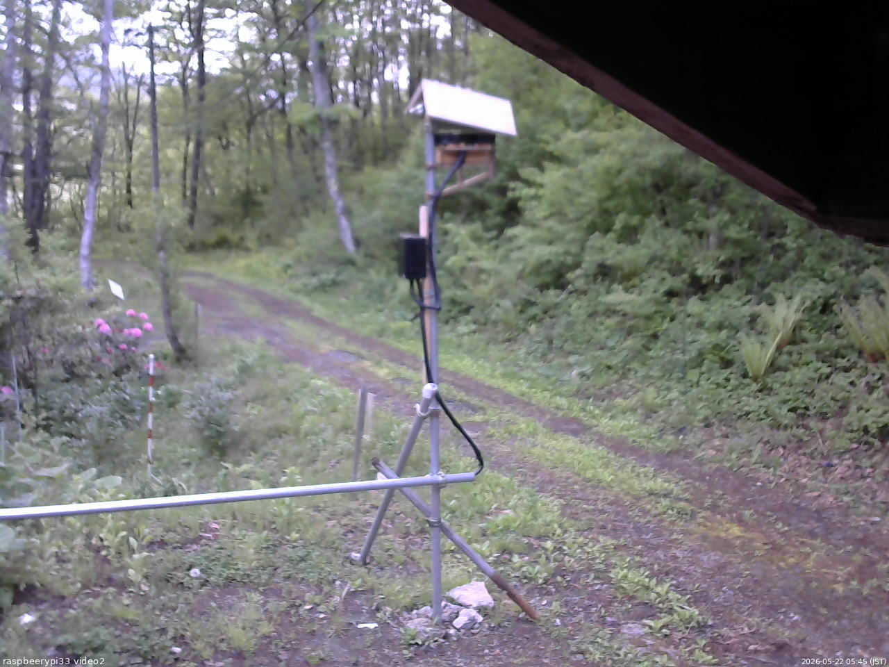 長野県菅平高原 ゆたか山荘 南側 2026/05/22 05:45