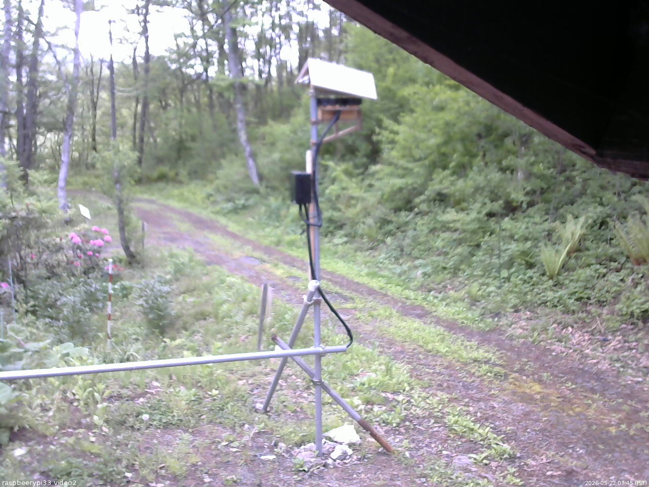 長野県菅平高原 ゆたか山荘 南側 2026/05/22 07:45