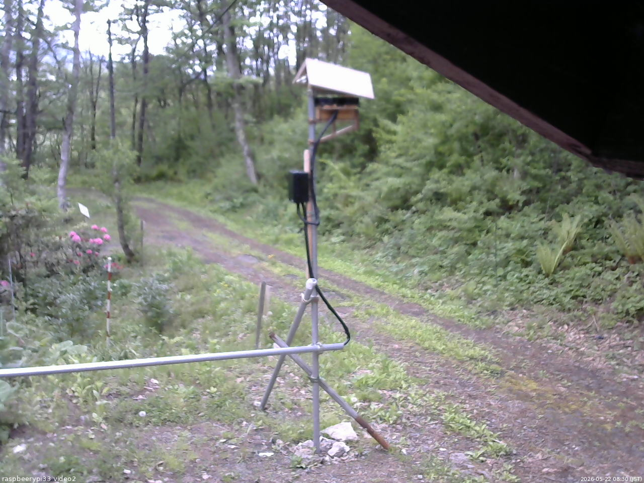 長野県菅平高原 ゆたか山荘 南側 2026/05/22 08:30