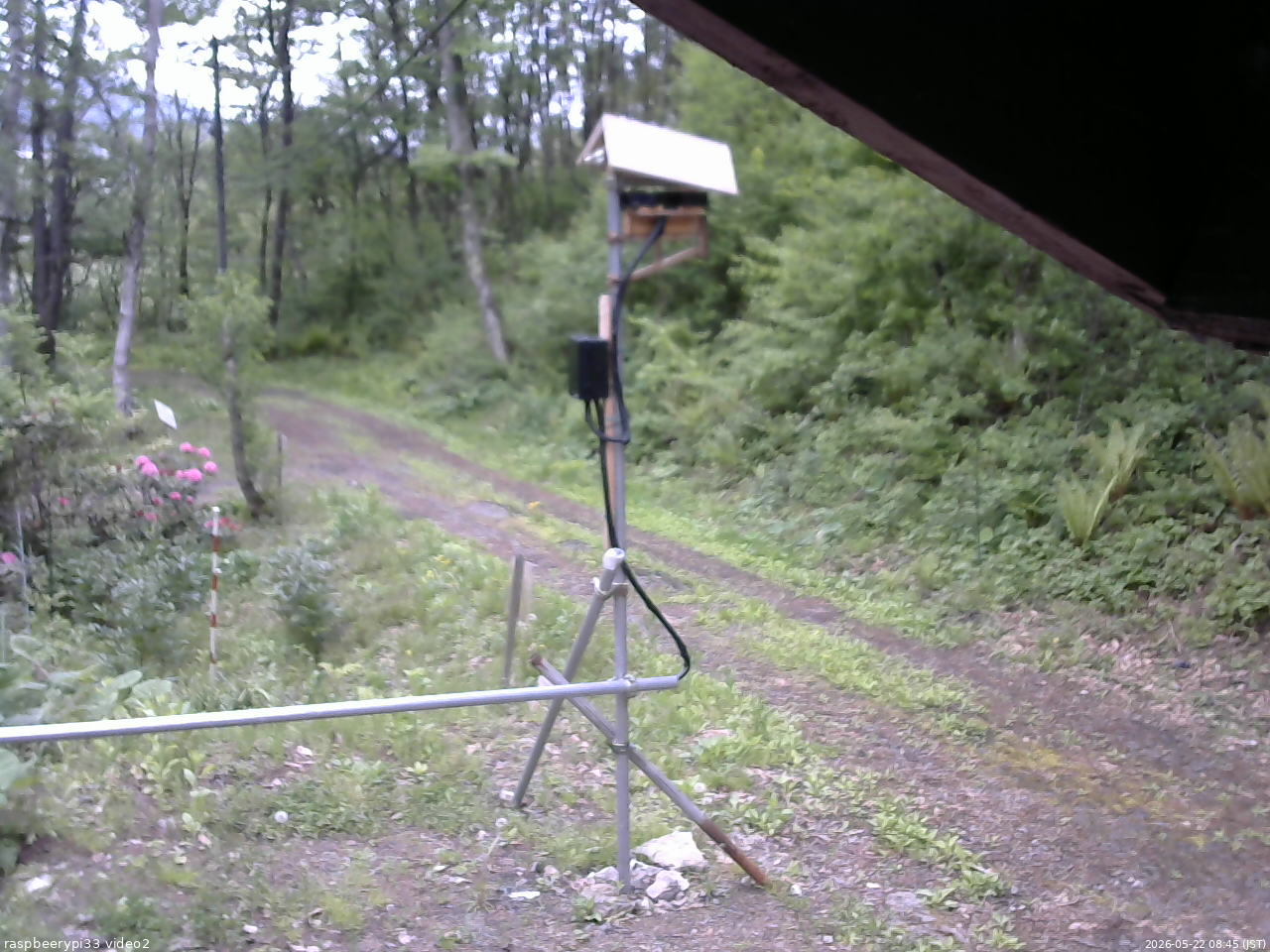 長野県菅平高原 ゆたか山荘 南側 2026/05/22 08:45