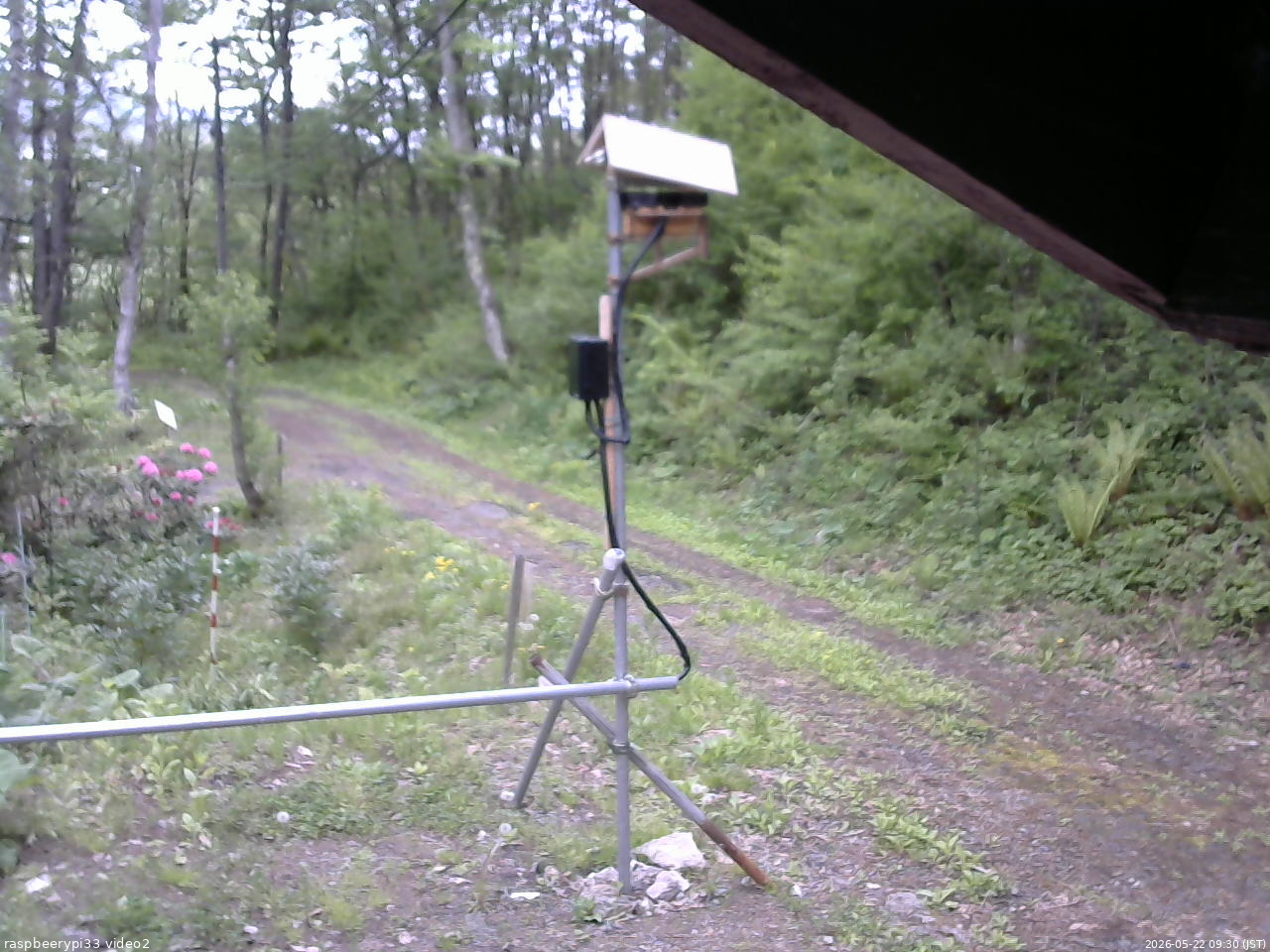 長野県菅平高原 ゆたか山荘 南側 2026/05/22 09:30