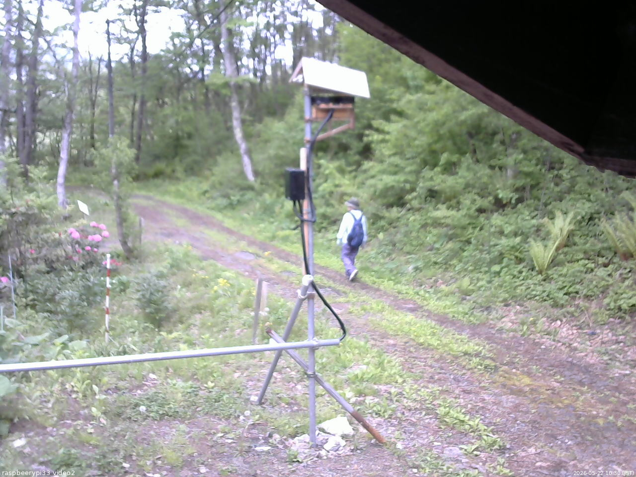 長野県菅平高原 ゆたか山荘 南側 2026/05/22 10:30