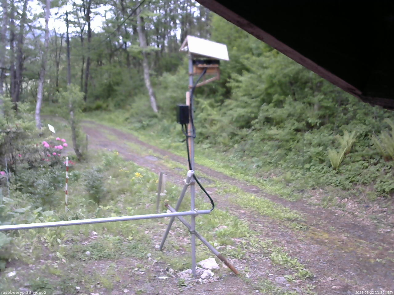 長野県菅平高原 ゆたか山荘 南側 2026/05/22 11:30