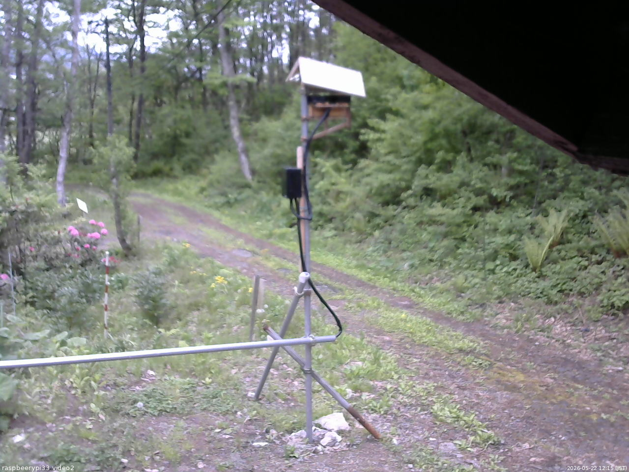 長野県菅平高原 ゆたか山荘 南側 2026/05/22 12:15