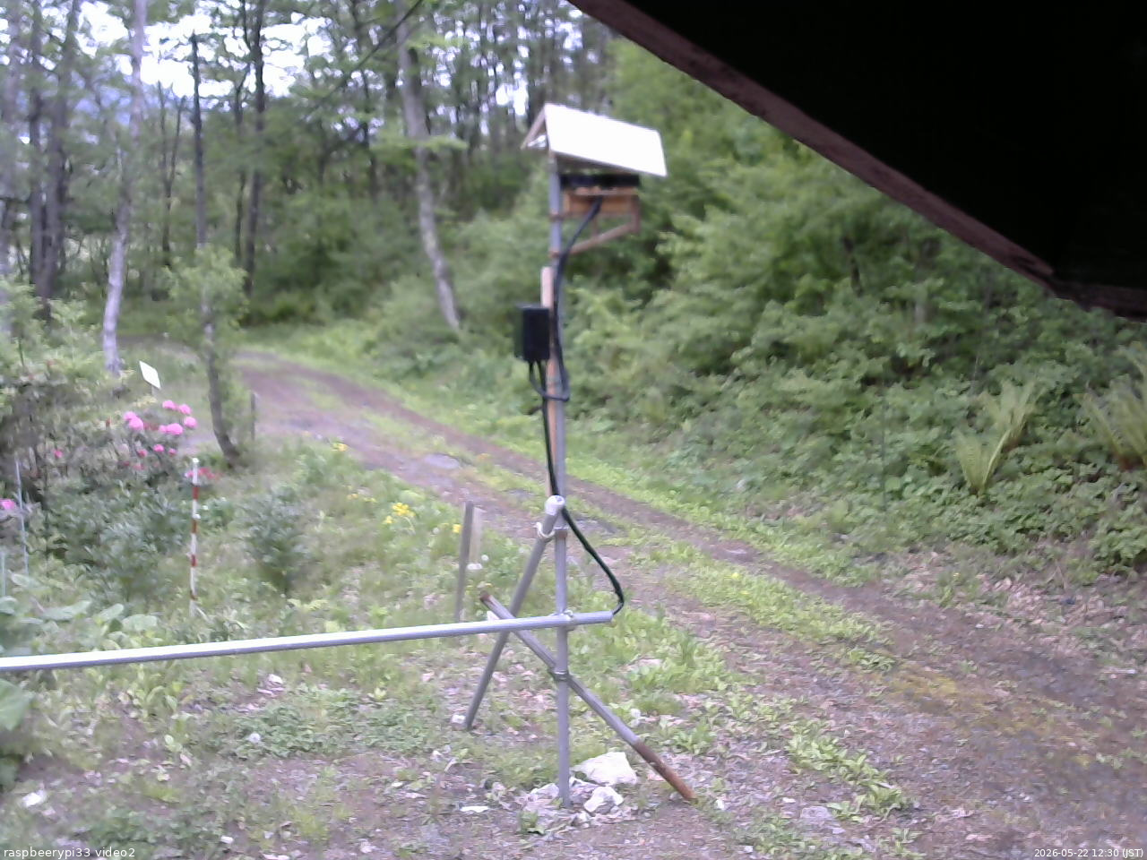 長野県菅平高原 ゆたか山荘 南側 2026/05/22 12:30