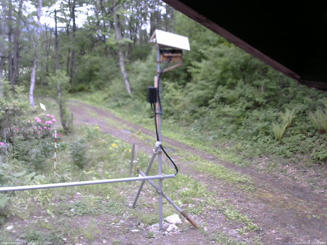 長野県菅平高原 ゆたか山荘 南側 2026/05/22 13:30