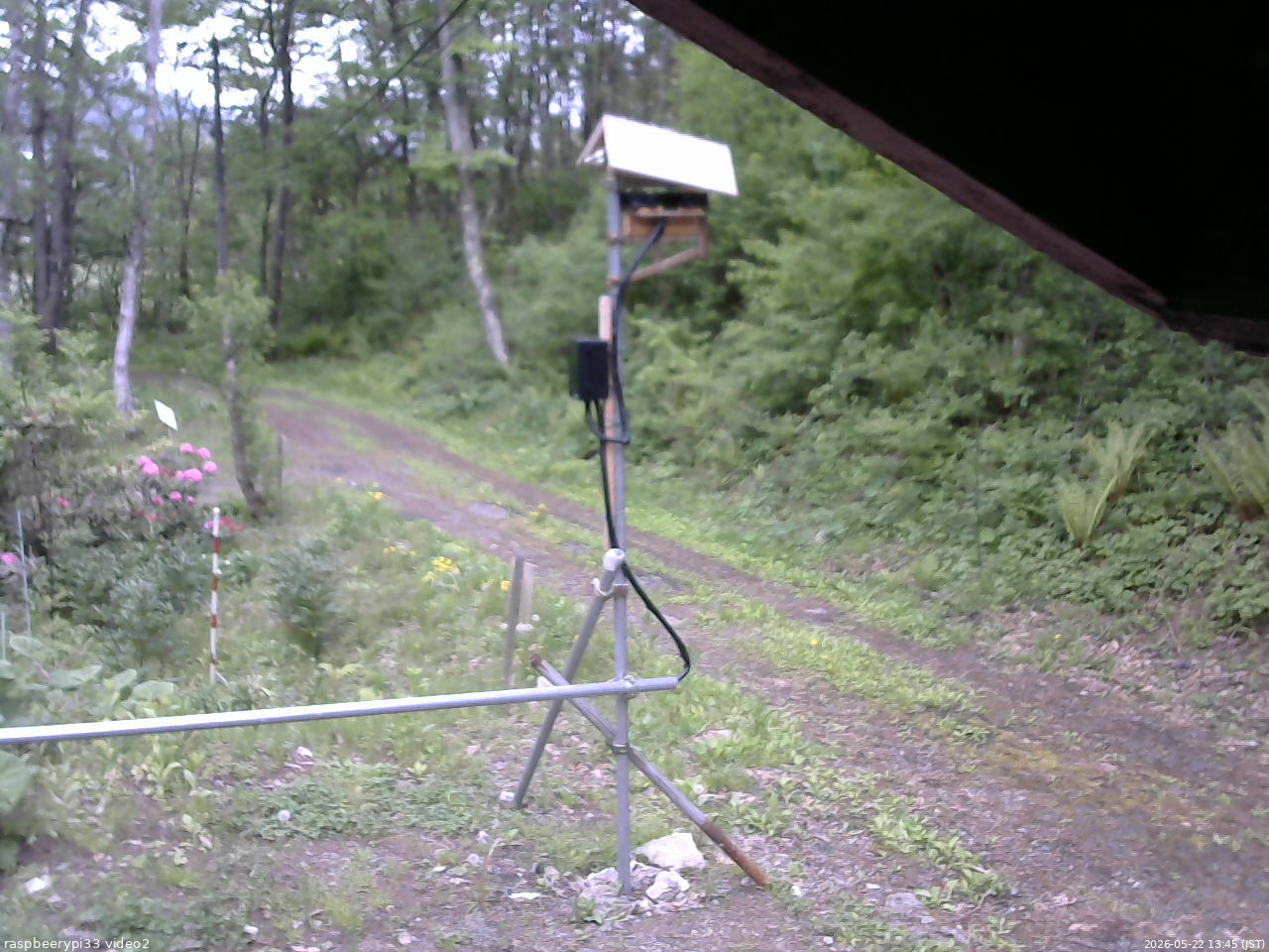 長野県菅平高原 ゆたか山荘 南側 2026/05/22 13:45