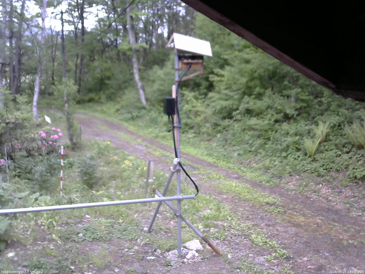 長野県菅平高原 ゆたか山荘 南側 2026/05/22 14:00