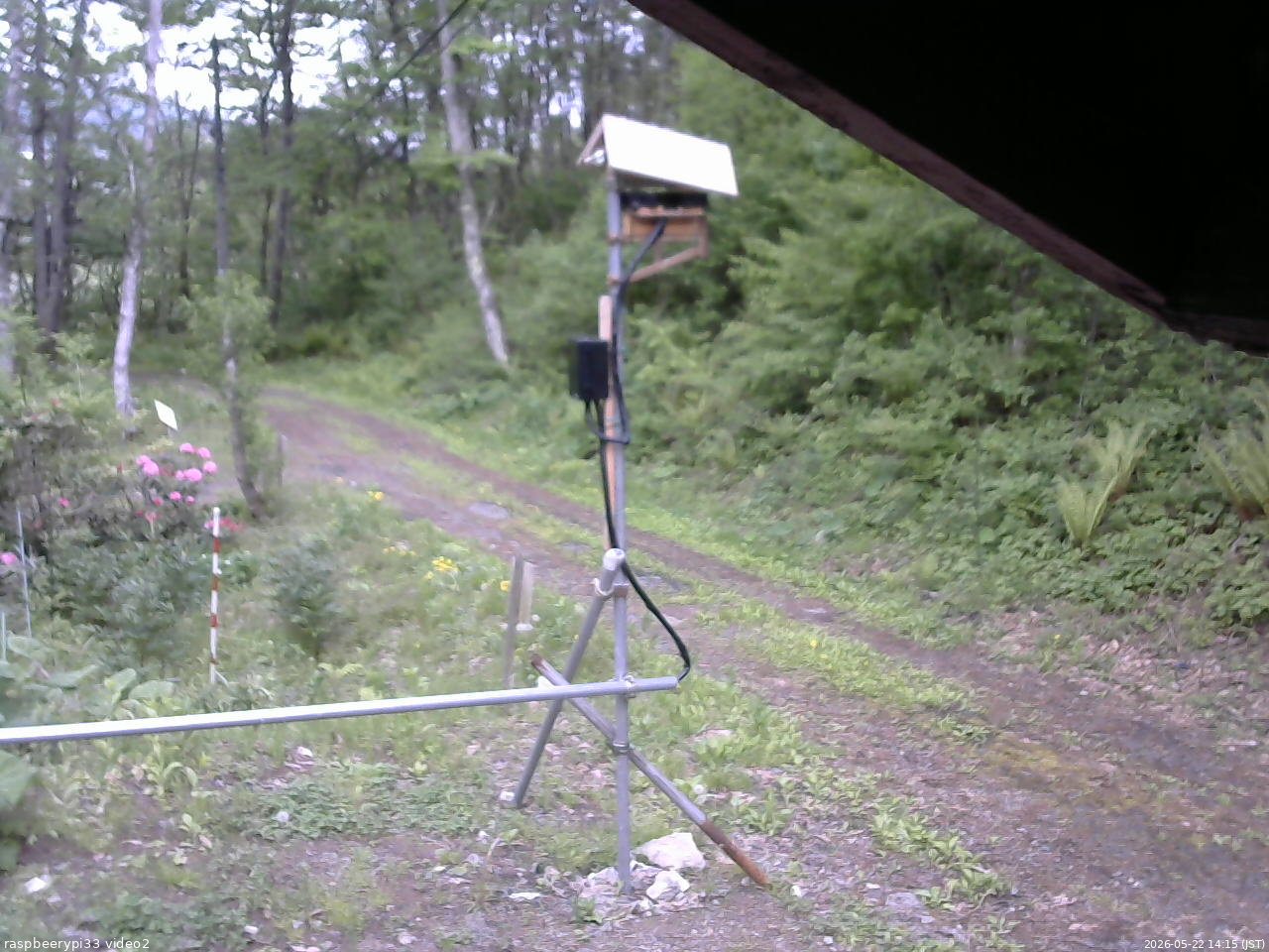 長野県菅平高原 ゆたか山荘 南側 2026/05/22 14:15
