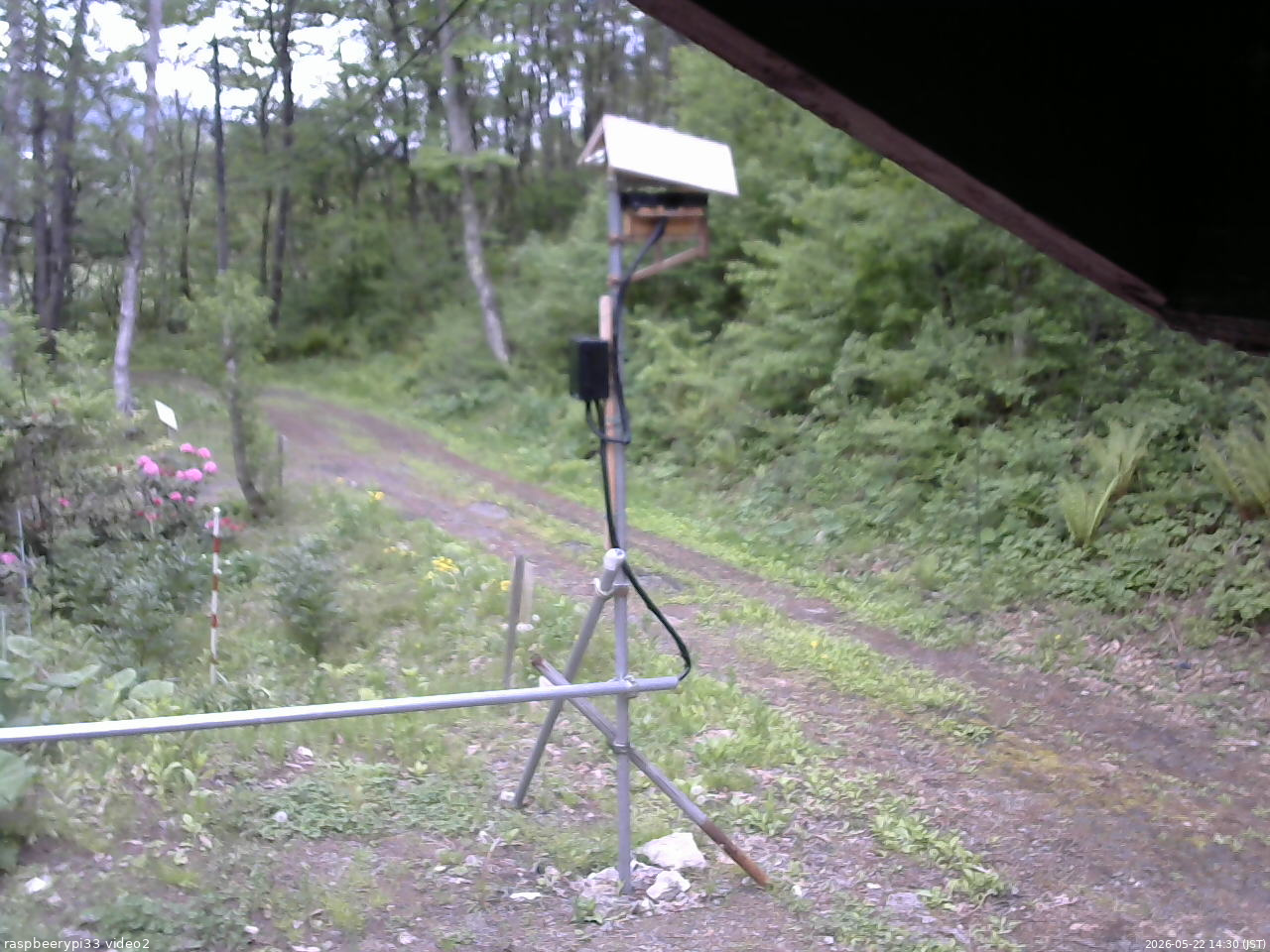 長野県菅平高原 ゆたか山荘 南側 2026/05/22 14:30