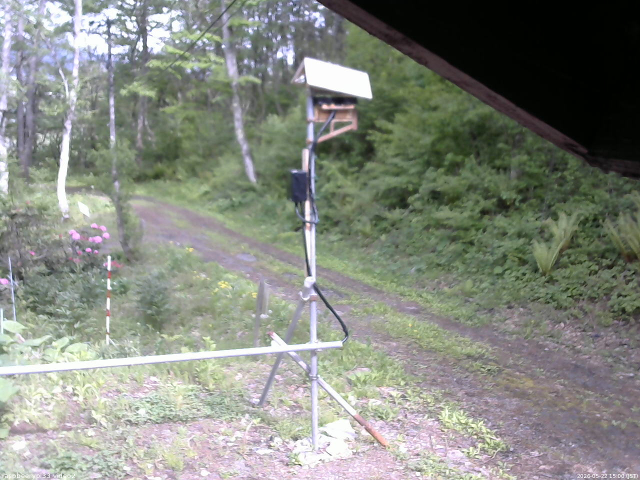 長野県菅平高原 ゆたか山荘 南側 2026/05/22 15:00
