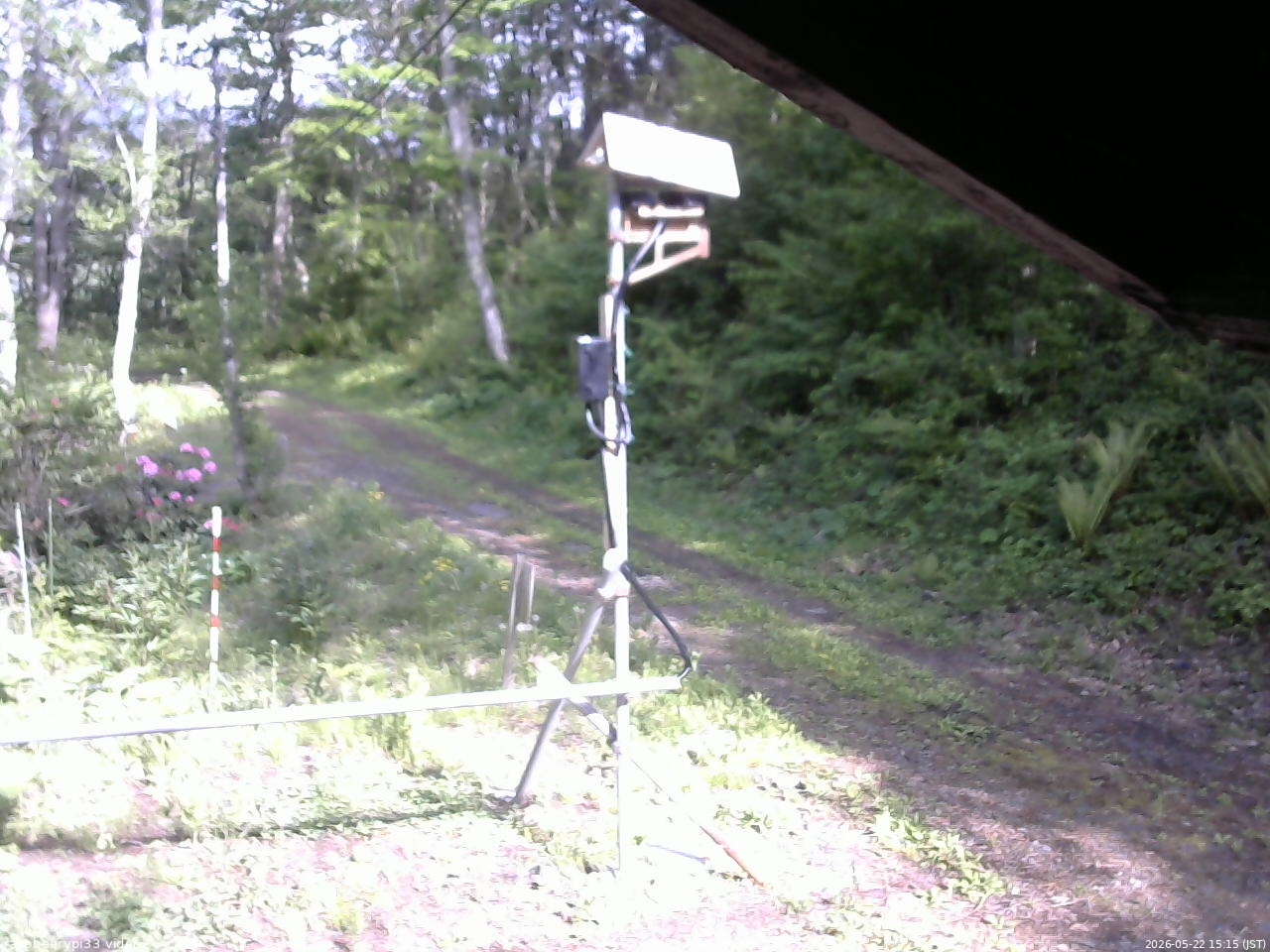 長野県菅平高原 ゆたか山荘 南側 2026/05/22 15:15