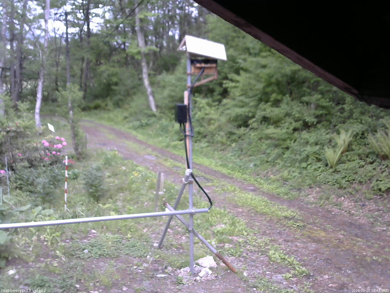 長野県菅平高原 ゆたか山荘 南側 2026/05/22 16:45