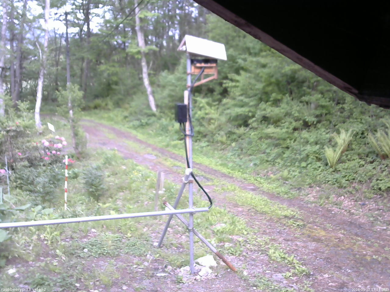 長野県菅平高原 ゆたか山荘 南側 2026/05/22 17:15