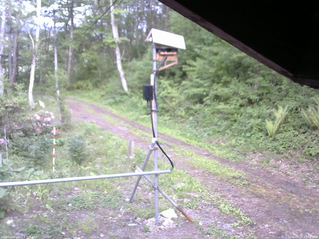 長野県菅平高原 ゆたか山荘 南側 2026/05/22 17:30