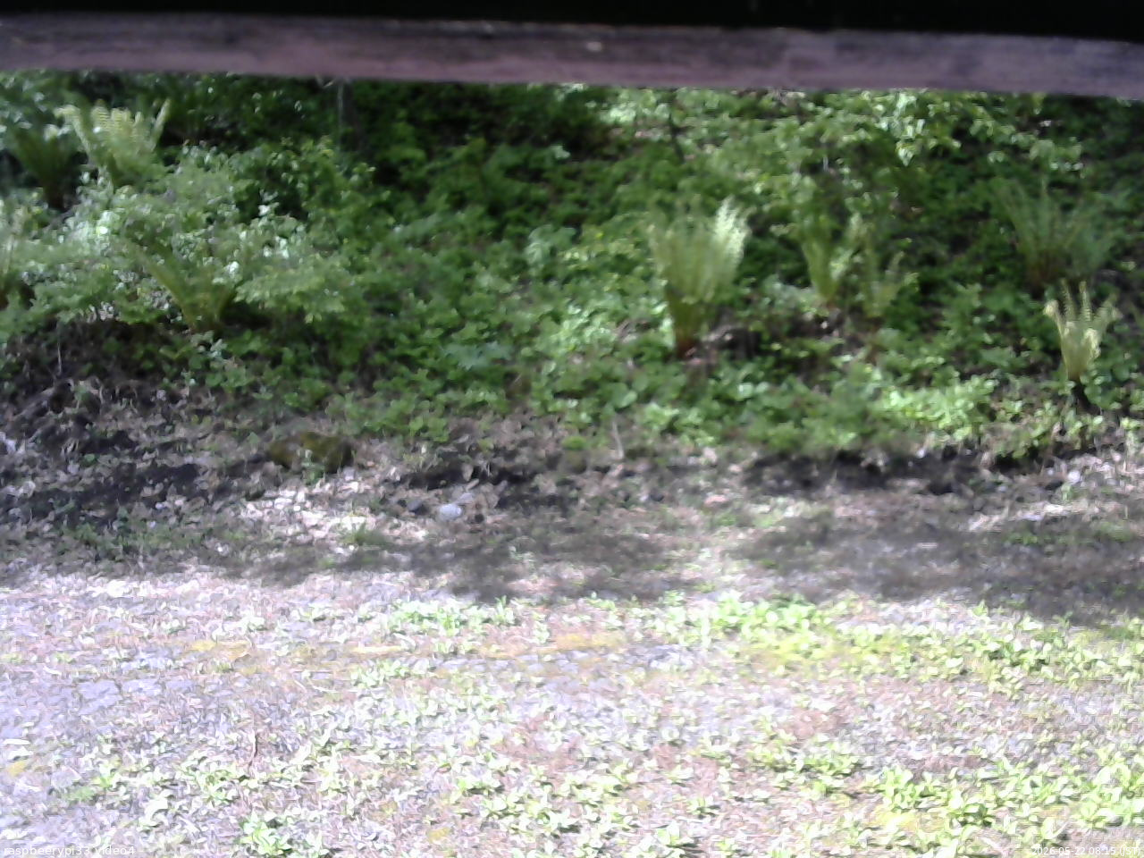 長野県菅平高原 ゆたか山荘 東側(坂下) 2026/05/22 08:15