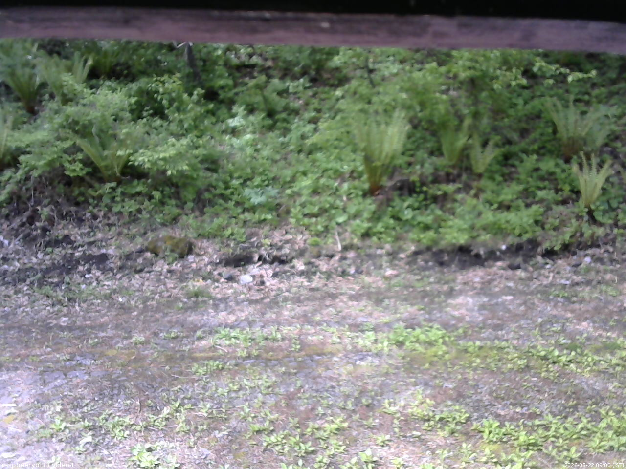 長野県菅平高原 ゆたか山荘 東側(坂下) 2026/05/22 09:00
