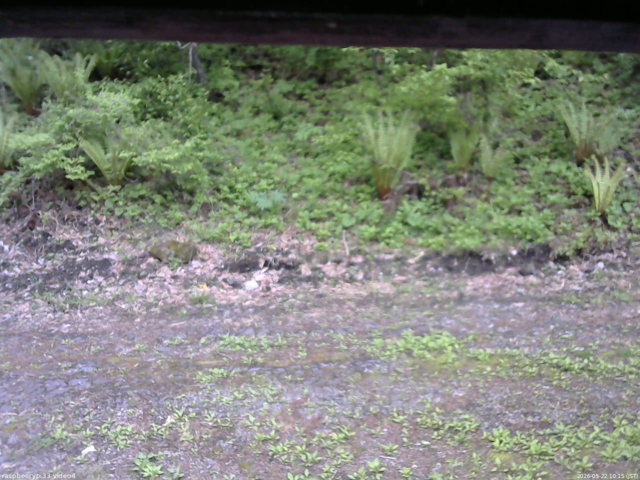 長野県菅平高原 ゆたか山荘 東側(坂下) 2026/05/22 10:15