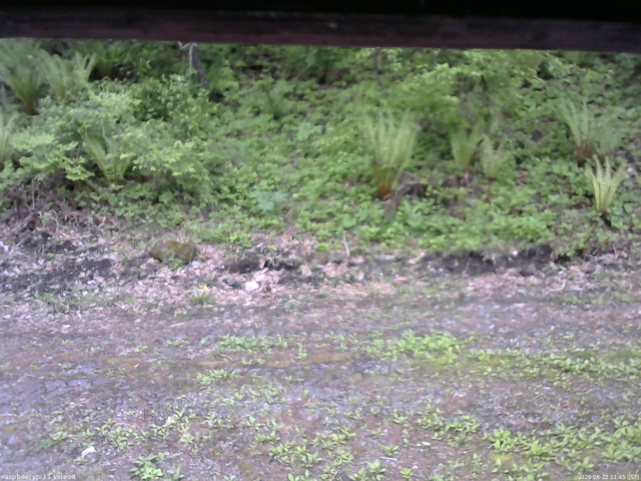 長野県菅平高原 ゆたか山荘 東側(坂下) 2026/05/22 11:45