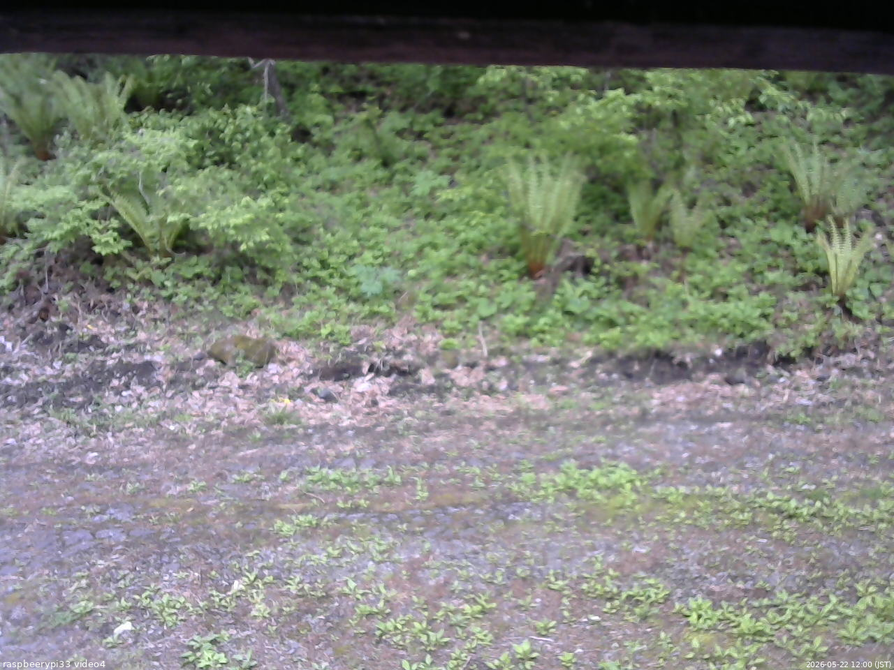 長野県菅平高原 ゆたか山荘 東側(坂下) 2026/05/22 12:00