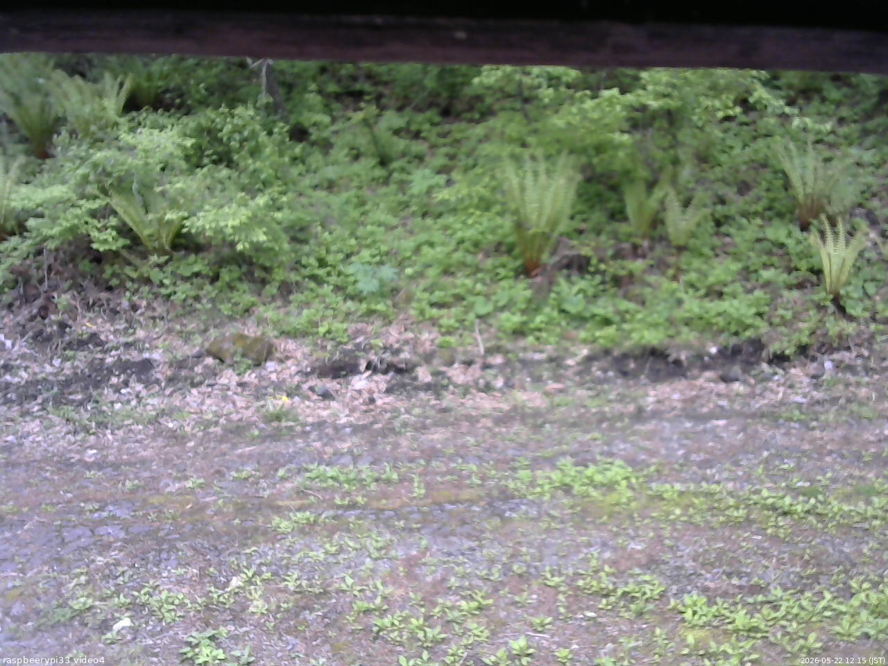 長野県菅平高原 ゆたか山荘 東側(坂下) 2026/05/22 12:15