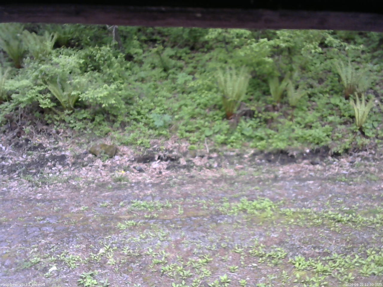 長野県菅平高原 ゆたか山荘 東側(坂下) 2026/05/22 12:30
