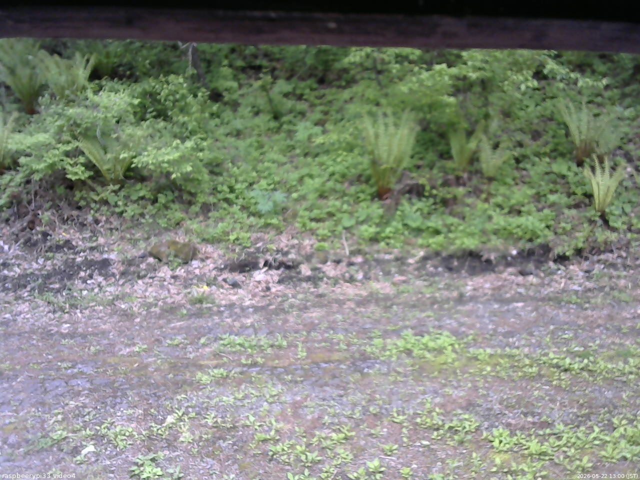 長野県菅平高原 ゆたか山荘 東側(坂下) 2026/05/22 13:00