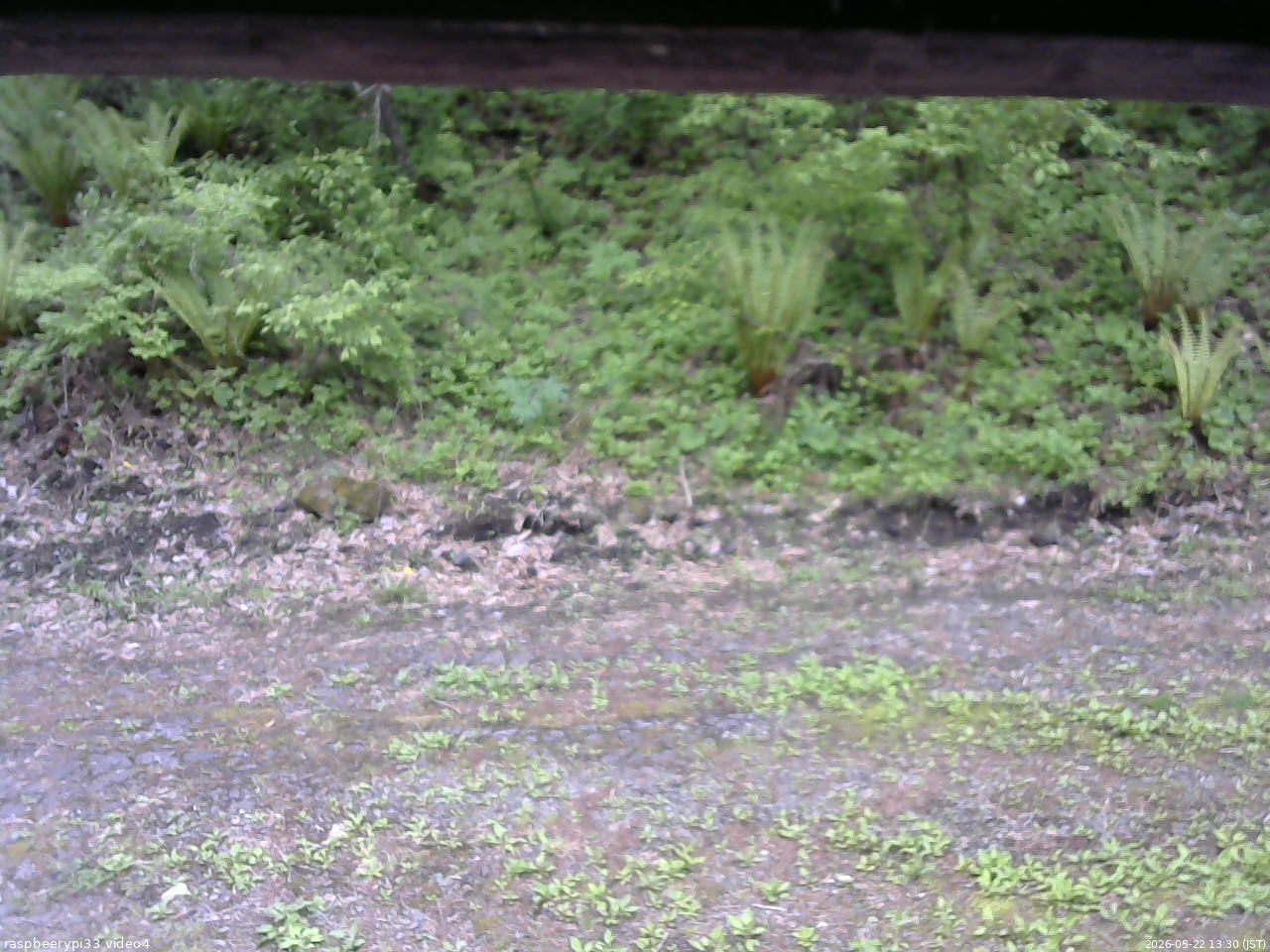 長野県菅平高原 ゆたか山荘 東側(坂下) 2026/05/22 13:30