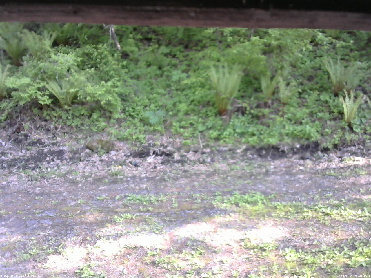 長野県菅平高原 ゆたか山荘 東側(坂下) 2026/05/22 15:30