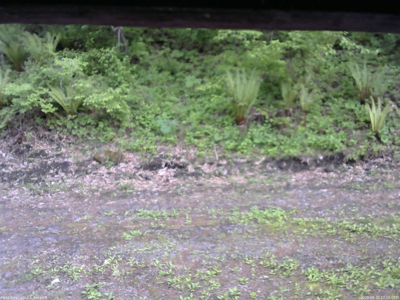 長野県菅平高原 ゆたか山荘 東側(坂下) 2026/05/22 17:15