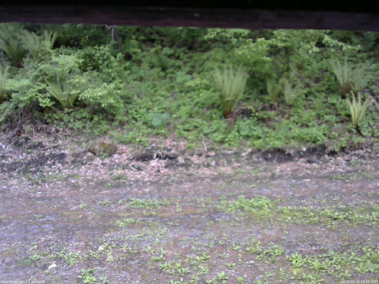 長野県菅平高原 ゆたか山荘 東側(坂下) 2026/05/22 18:00