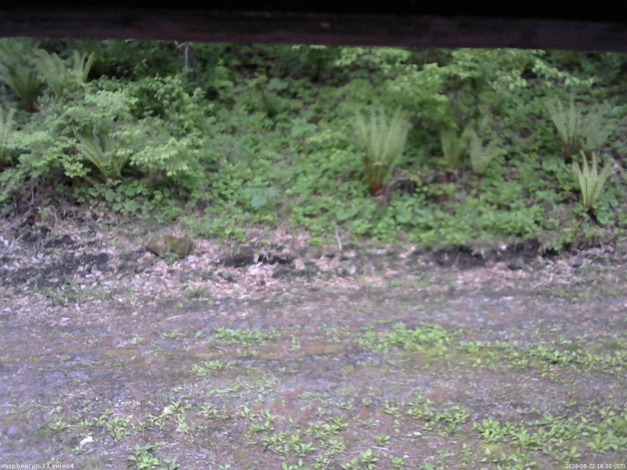 長野県菅平高原 ゆたか山荘 東側(坂下) 2026/05/22 18:30