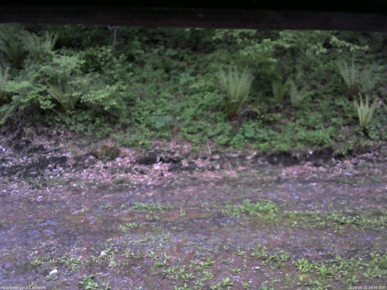 長野県菅平高原 ゆたか山荘 東側(坂下) 2026/05/22 18:45