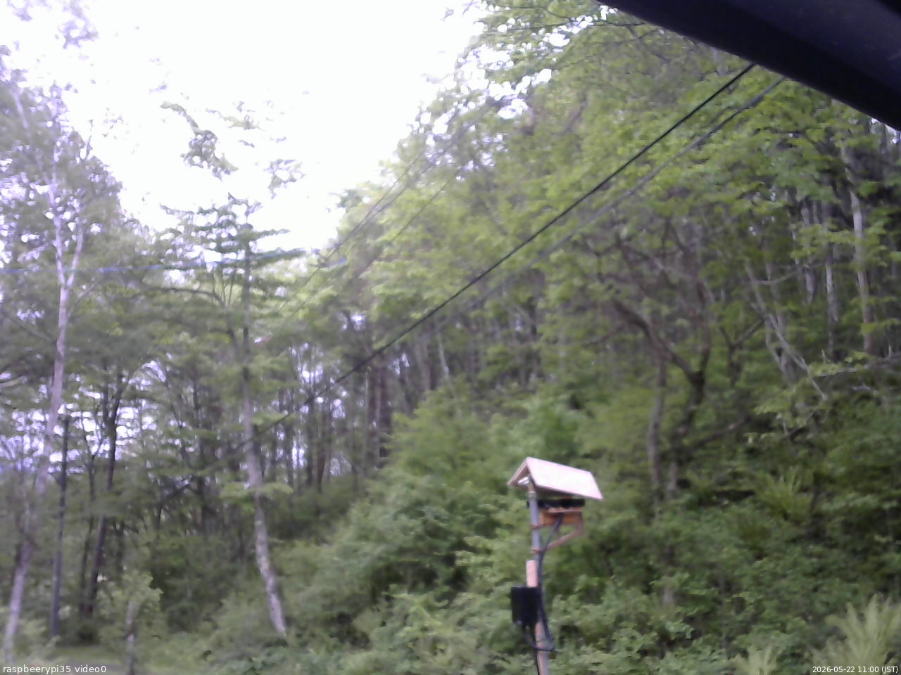長野県菅平高原 ゆたか山荘 温度計 2026/05/22 11:00