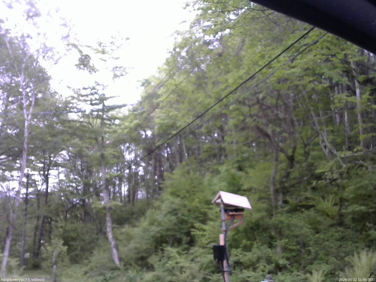 長野県菅平高原 ゆたか山荘 温度計 2026/05/22 11:45