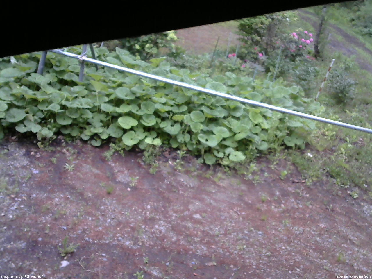 長野県菅平高原 ゆたか山荘 駐車場 2026/05/22 05:00