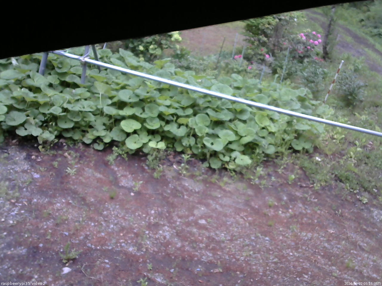 長野県菅平高原 ゆたか山荘 駐車場 2026/05/22 05:15