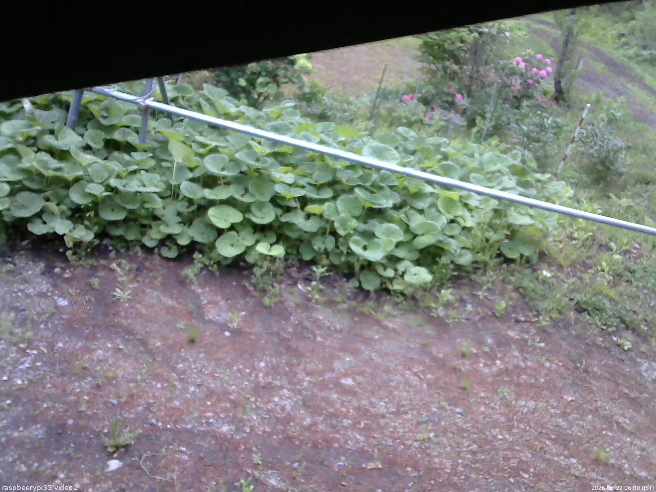 長野県菅平高原 ゆたか山荘 駐車場 2026/05/22 06:00
