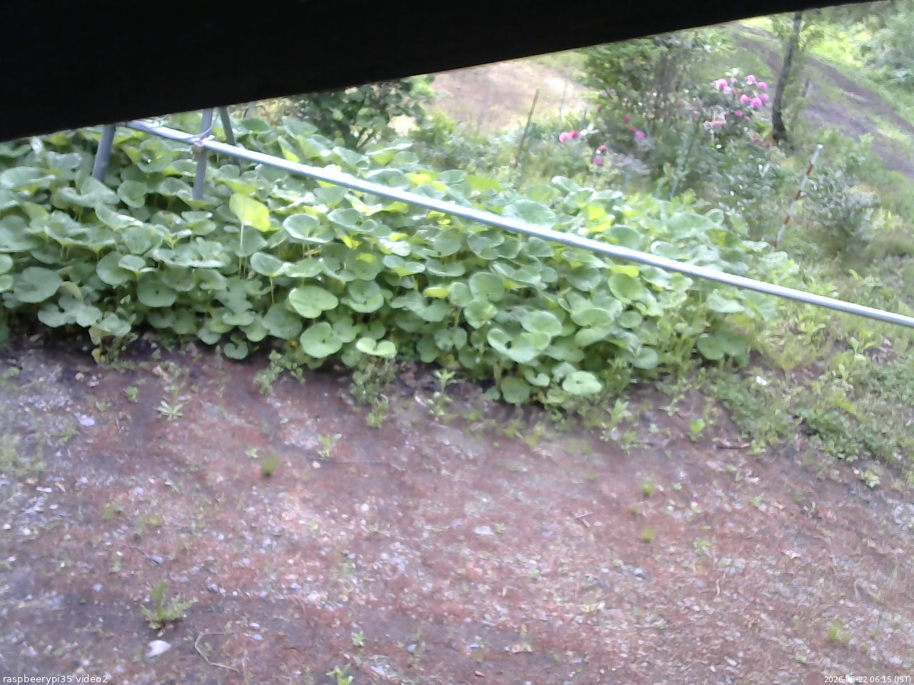 長野県菅平高原 ゆたか山荘 駐車場 2026/05/22 06:15