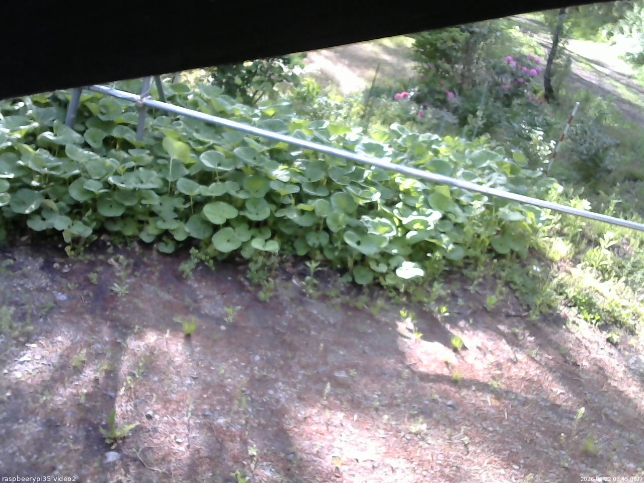 長野県菅平高原 ゆたか山荘 駐車場 2026/05/22 06:45