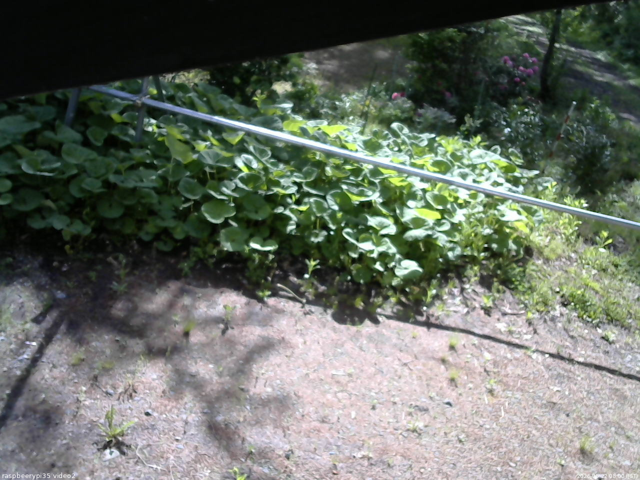 長野県菅平高原 ゆたか山荘 駐車場 2026/05/22 08:00